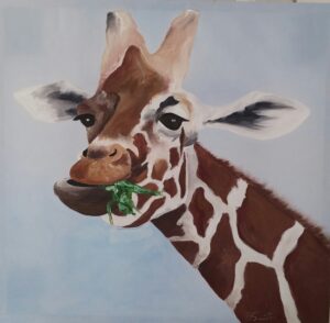 Giraffe eating leaves